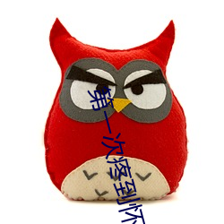 第(dì)一次疼(téng)到怀(huái)疑人(rén)生