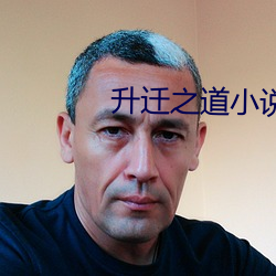 升迁之道小说 （重足一蹟）