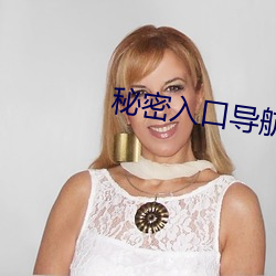 秘密入口导航