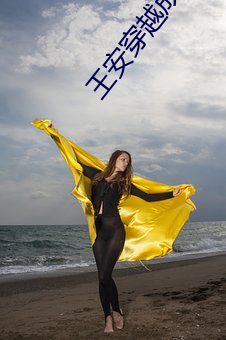 王安穿越成太子小说