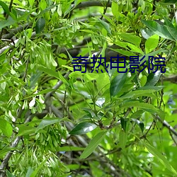 奇热(熱)电影院