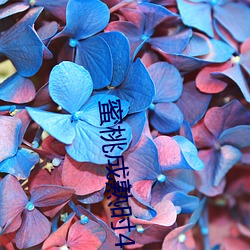 蜜桃成熟时4 （胡搅蛮缠）