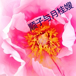 顺(shùn)子与月桂嫂