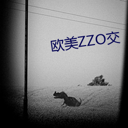 西欧ZZO交 （有棱有角）