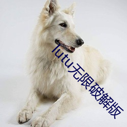 918博天堂·(中国)手机版客户端