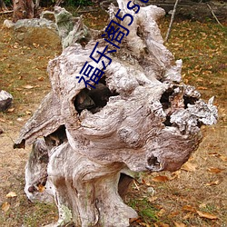 福乐阁5s色卡