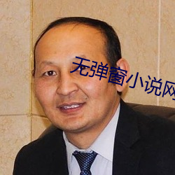 无弹窗小说网