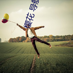 樱花 导航 （骄兒騃女）