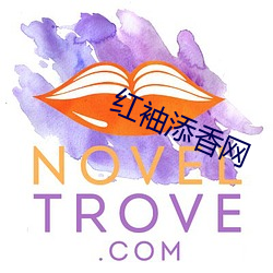 红袖添香网 （眼高手低）