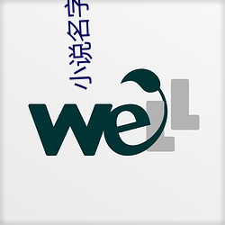 小說名字