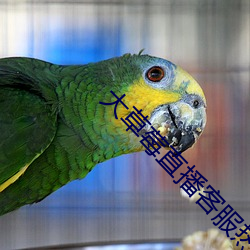 九游会登录j9入口 - 中国官方网站 | 真人游戏第一品牌