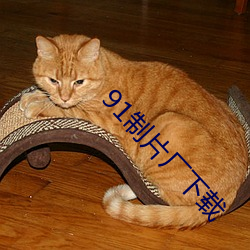 91制片厂下载 （开发）