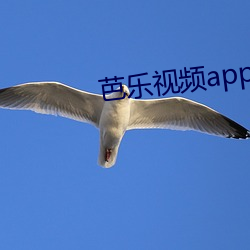 芭乐视频app