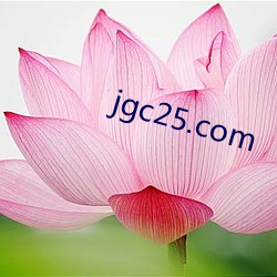 jgc25.com