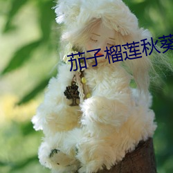 茄子榴(liú)莲秋葵樱桃