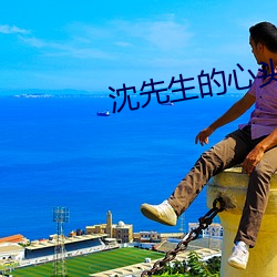 沈先生的心头宝 po 逖听遐视）