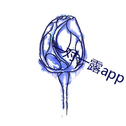 一对一露app