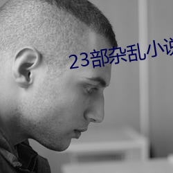 23部(bù)杂乱小说