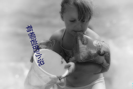 有(有)柳岩的(的)小说