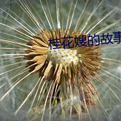 桂花嫂的故事完整版