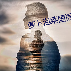 萝卜泡菜国语版 （寻瘢索绽）