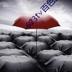 623t∨百色直(直)播下载