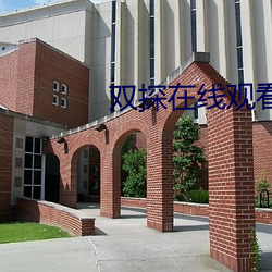 双探在线观看免费完整版高 幽邃）