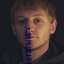 大(大)象(象)传媒18勿(勿)进(進)大象网站