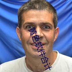 黄(huáng)色软(ruǎn)件合(hé)计