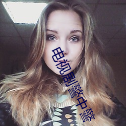 电视剧(劇)警中警(警)