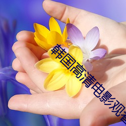 韩国高清电影观看影片