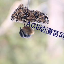 AGE动(dòng)漫官网APP