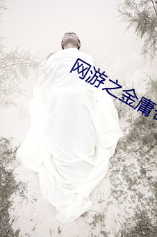 网游之(zhī)金庸奇侠传(chuán)