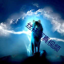 丝(絲)袜(襪)写真视频