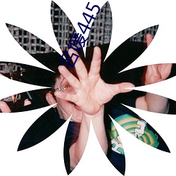 名媛445下載