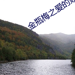 金瓶梅(méi)之(zhī)爱的奴(nú)隶(lì)
