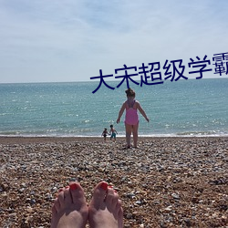 大宋超级学霸