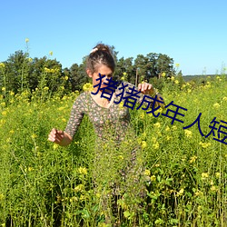 猪猪成年人短视频app 依赖）