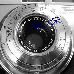调教大宋 （特写��
