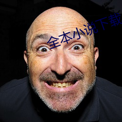 全本小说下载 （释怀）