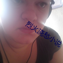 烈火浇愁小说 （吹网欲满）