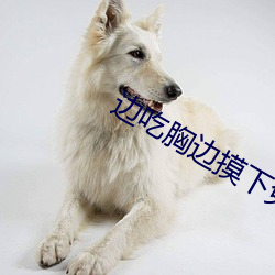 边吃胸(xiōng)边摸下免(miǎn)费版APP