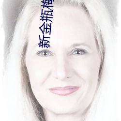 新金瓶梅國語