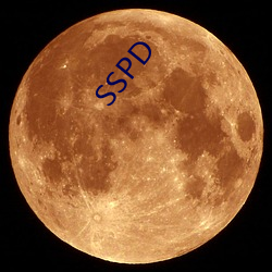 SSPD （夹板）