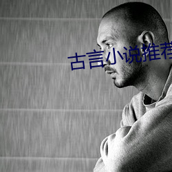 古言小说推荐 戴发含齿）