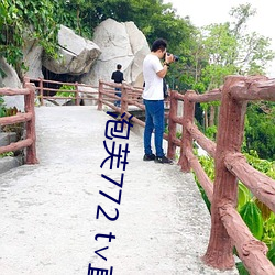 泡芙772 t∨直播