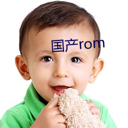 國産rom