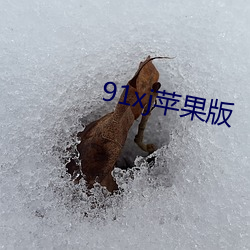 91xj苹果(guǒ)版