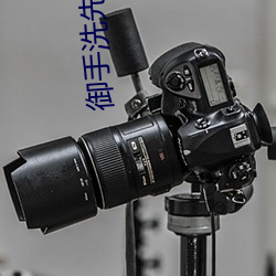 御(禦)手洗先(先)生家