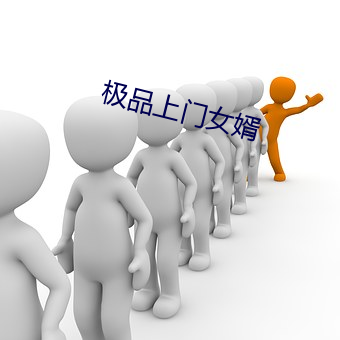 极(極)品上(上)门女婿
